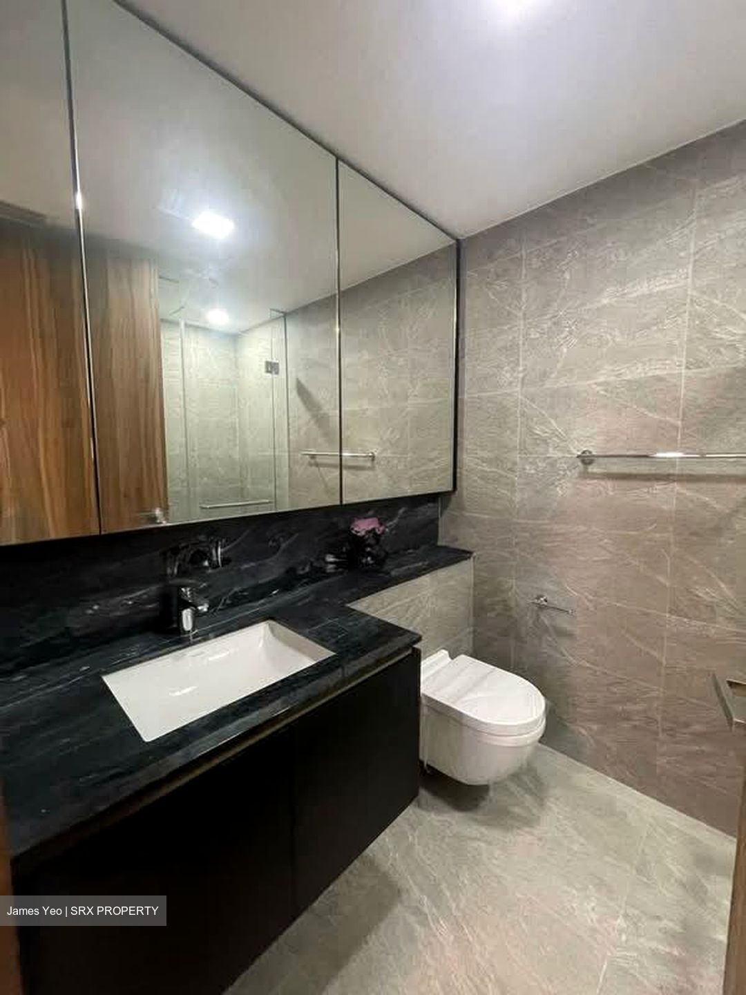 Daintree Residence (D21), Condominium #558976701